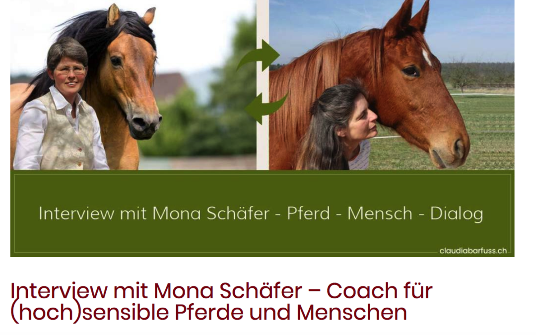 Interview mit Mona Schäfer – Coach für (hoch)sensible Pferde und Menschen